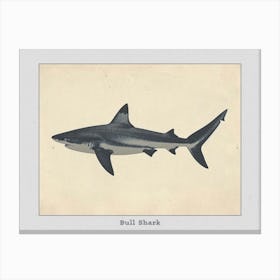Bull Shark Grey Silhouette 8 Poster Canvas Print