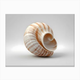 Sea Shell Canvas Print