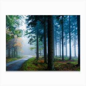 Road In The Forest Toile