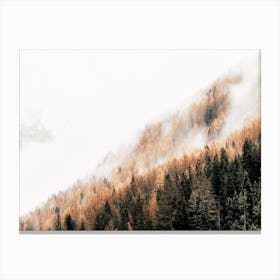 Foggy Forest Scenery Canvas Print