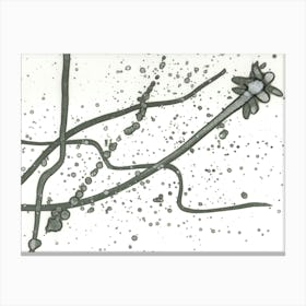 Abstraction Spot Calligraphy 4 Canvas Print