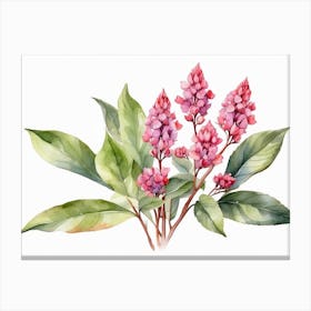 Pink Flowers Watercolor Painting Canvas Print