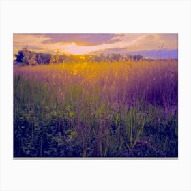 Sunset Over Tall Grass Canvas Print