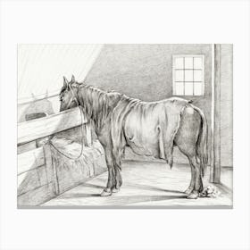 Standing Horse In A Stable, Jean Bernard Canvas Print