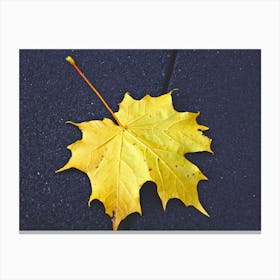 Autumn Leaf Canvas Print