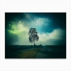 The Outback Road Canvas Print