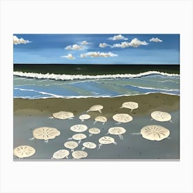 Sand Dollars 5 Canvas Print