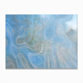 Overwintered Canvas Print