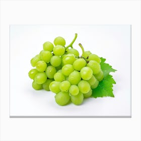 Green Grapes On White Background Canvas Print