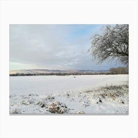 Winter Landscape - Winter Stock Videos & Royalty-Free Footage Canvas Print