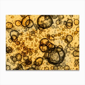 Abstract Alcohol Ink Gold Canvas Print