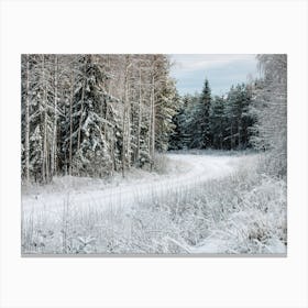 Winter Landscape In The Forest Canvas Print