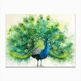 Peacock 23 Canvas Print