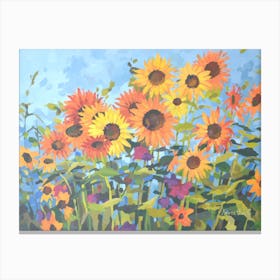 Sunflower Filed2 Canvas Print