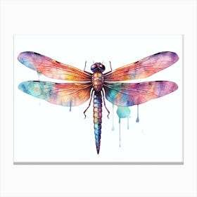 Watercolour Dragonfly 2 Canvas Print