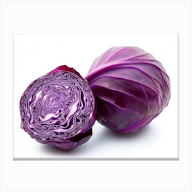 Red Cabbage (2) Canvas Print