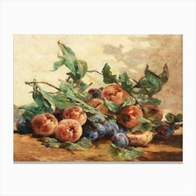 Peach & Plum Still Life Fruit Painting Modern Farmhouse Canvas Print