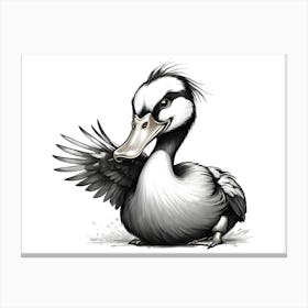 Duck Drawing 1 Canvas Print