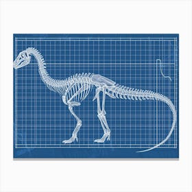 Brachiosaurus Skeleton Dinosaur Canvas Print