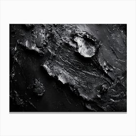 Black Ice Canvas Print