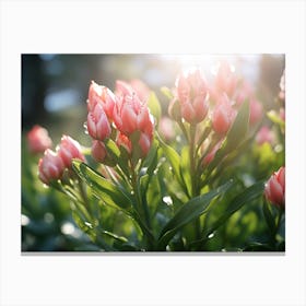 Tulips In The Sun Canvas Print