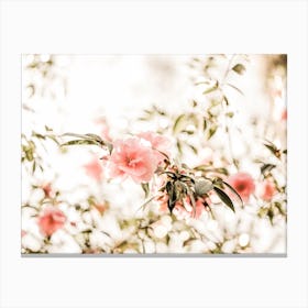 Pink Flower Branches Canvas Print