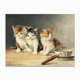 Three Kittens, Moritz Müller Canvas Print