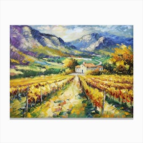 Vineyards In South Africa Canvas Print