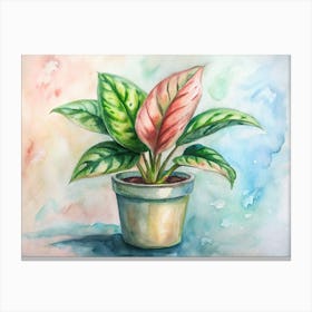 Potted Plant Watercolor Painting Canvas Print