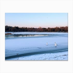 Captivating Serene Image Of A Couple Walking Along The Quiet Nature Filled Park By A Tranquil Sibe Canvas Print