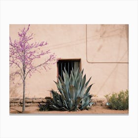 Desert Home Garden Canvas Print