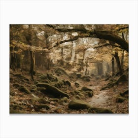 Autumn Forest Canvas Print