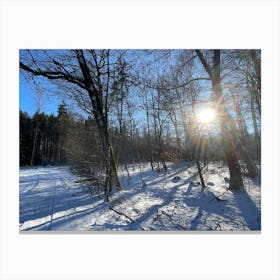 Sun Shining Through Trees Canvas Print