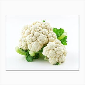 Cauliflower On White Background 7 Canvas Print