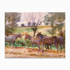 Mule Herd Canvas Print
