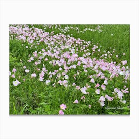 Pink Wildflowers In A Field - Photography Canvas Print