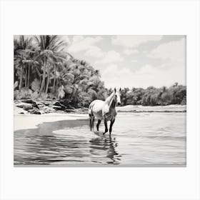 A Horse Oil Painting In Diani Beach, Kenya, Landscape 1 Canvas Print