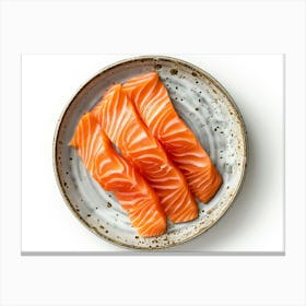 Salmon On A Plate 8 Canvas Print