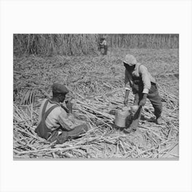 Untitled Photo, Possibly Related To Sugarcane Worker Drinking Water In The Field Near New Iberia, Louisiana By Canvas Print