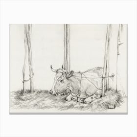 Lying Cow 2, Jean Bernard Canvas Print