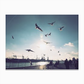 Seagulls at Hamburg Harbour 1 Canvas Print