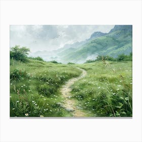 Path In The Meadow 1 Canvas Print