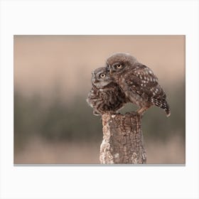 Mama And Baby Burrowing Owls Canvas Print