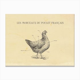 French Chicken Butcher Chart Canvas Print