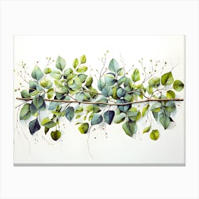 Eucalyptus Branch Canvas Print