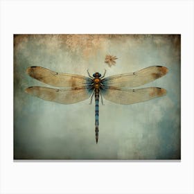Dragonfly 11 Canvas Print