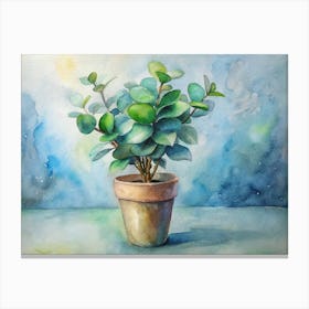 Eucalyptus Canvas Print