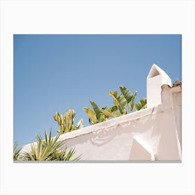 Banana Tree on roof terrace in Eivissa // Ibiza Travel Photography Canvas Print