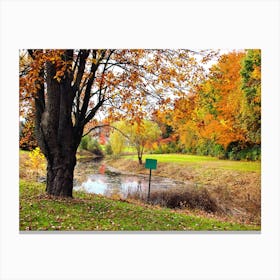 Autumn Scene 3 Canvas Print