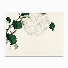 Hydrangea, Kōno Bairei Canvas Print